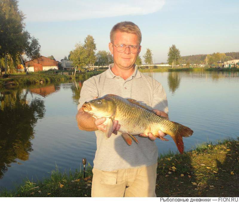 рыбхозы московской области платная рыбалка