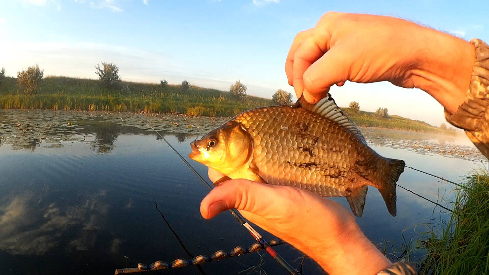 Рыбалка на телецком озере