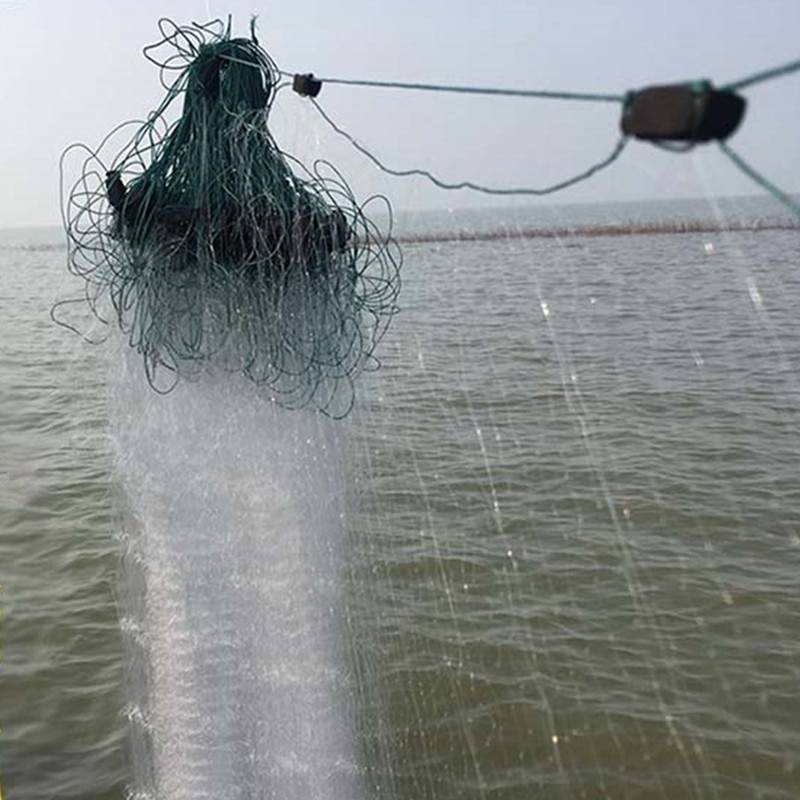 Разрешение на ловлю рыбы сетями