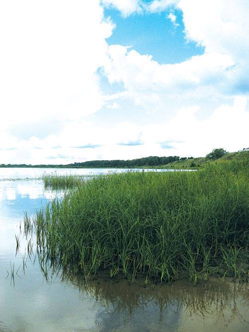 Платные пруды Нижегородская область