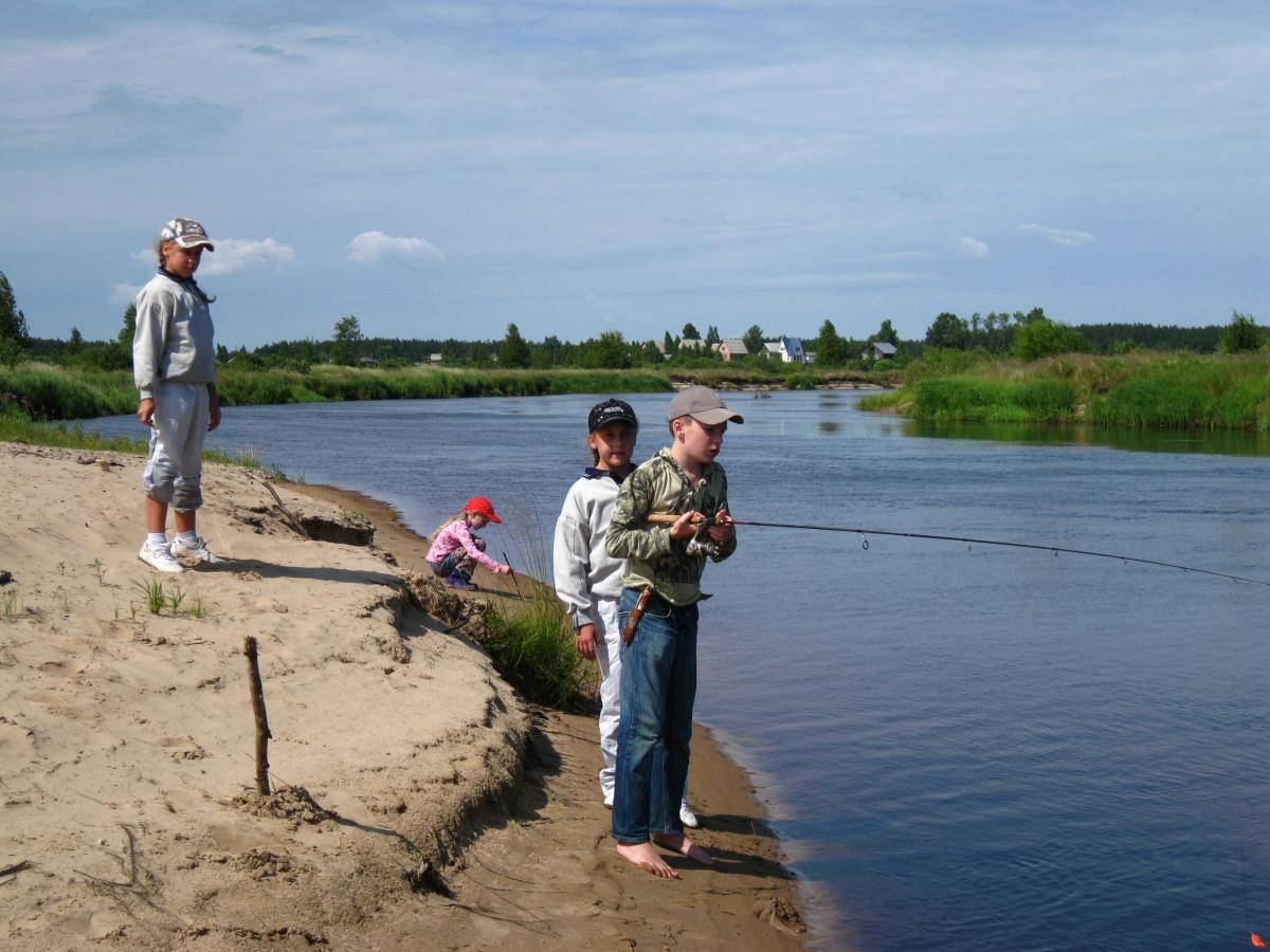 Рыбалка в рязани и рязанской области: на реке ока и озере великого, в синце и поярково, рыболовные базы и другие места