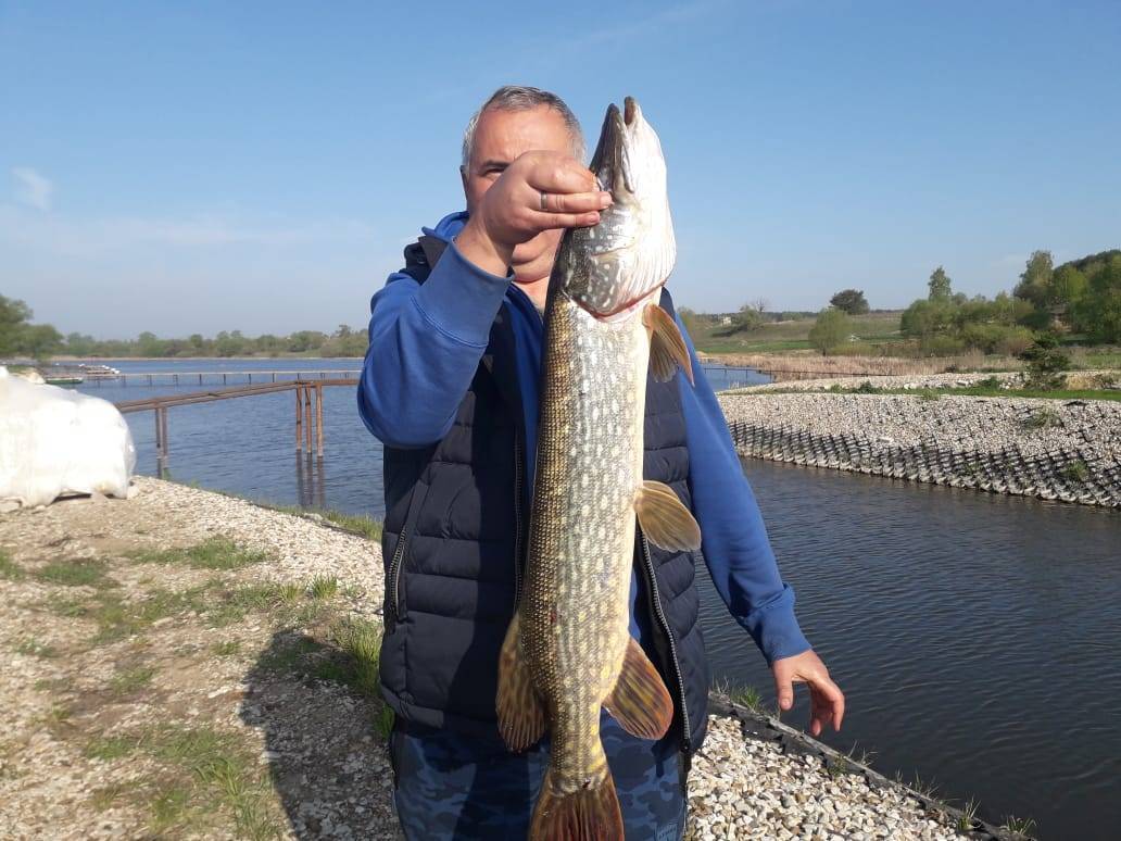 Firstfisher.ru – интернет-журнал о рыбалке и рыболовах.  рыбалка в белгородской области