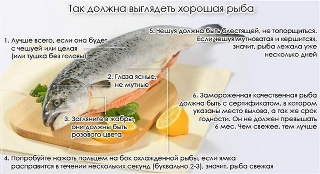 Запечь рыбу в духовке лобань