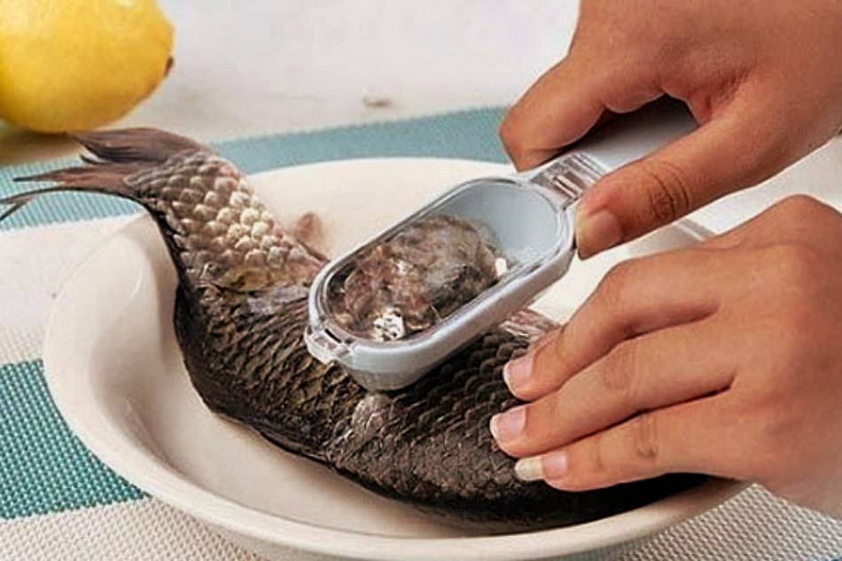 Как почистить рыбу от чешуи правильно, легко, быстро — журнал "рутвет"