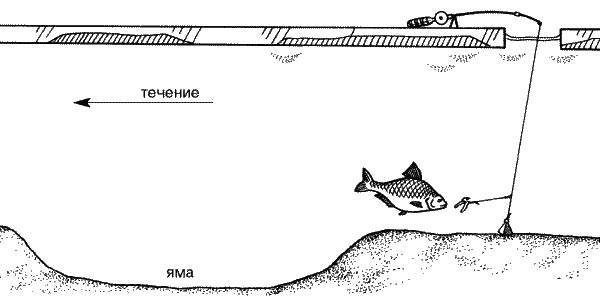 Ловля в проводку: процесс рыбалки с берега и лодки