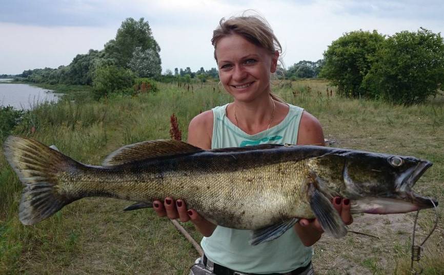 Рыбалка на реке десна московской области