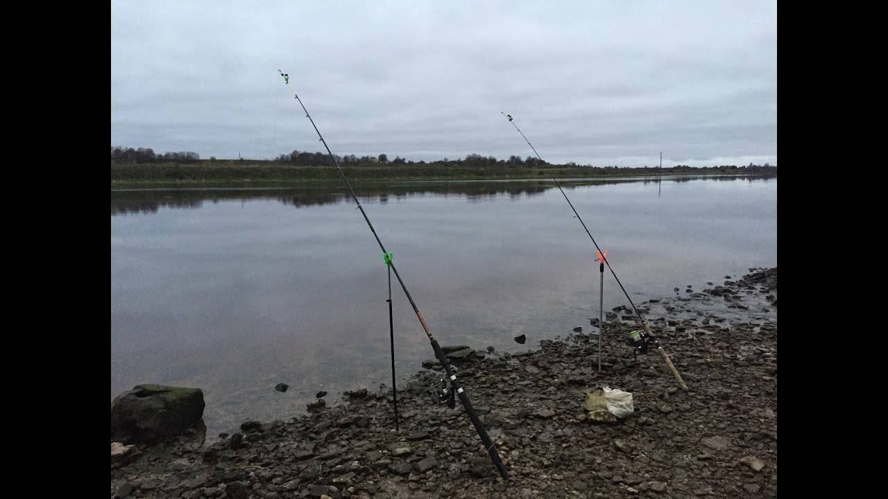 Рыбалка в ноябре: особенности ловли на спиннинг, выбор наживки, какая рыба ловится
