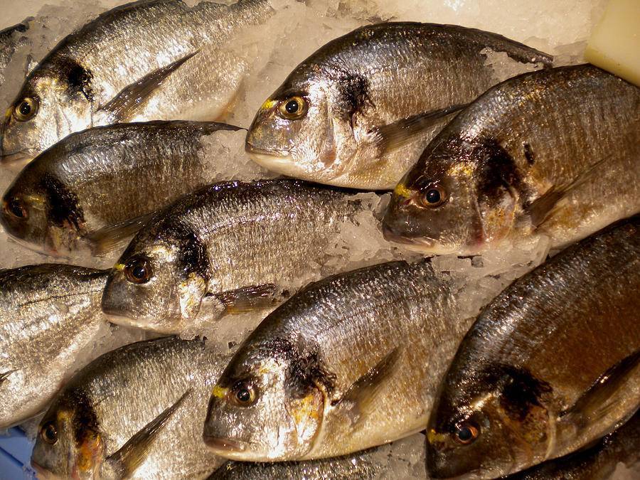 Рыба дорадо – польза и вред, особенности приготовления