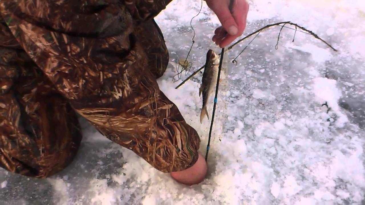Снасть косынка для ловли рыбы на зимней рыбалке