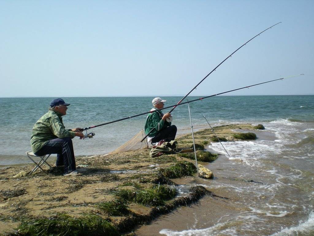 Рыбалка в евпатории