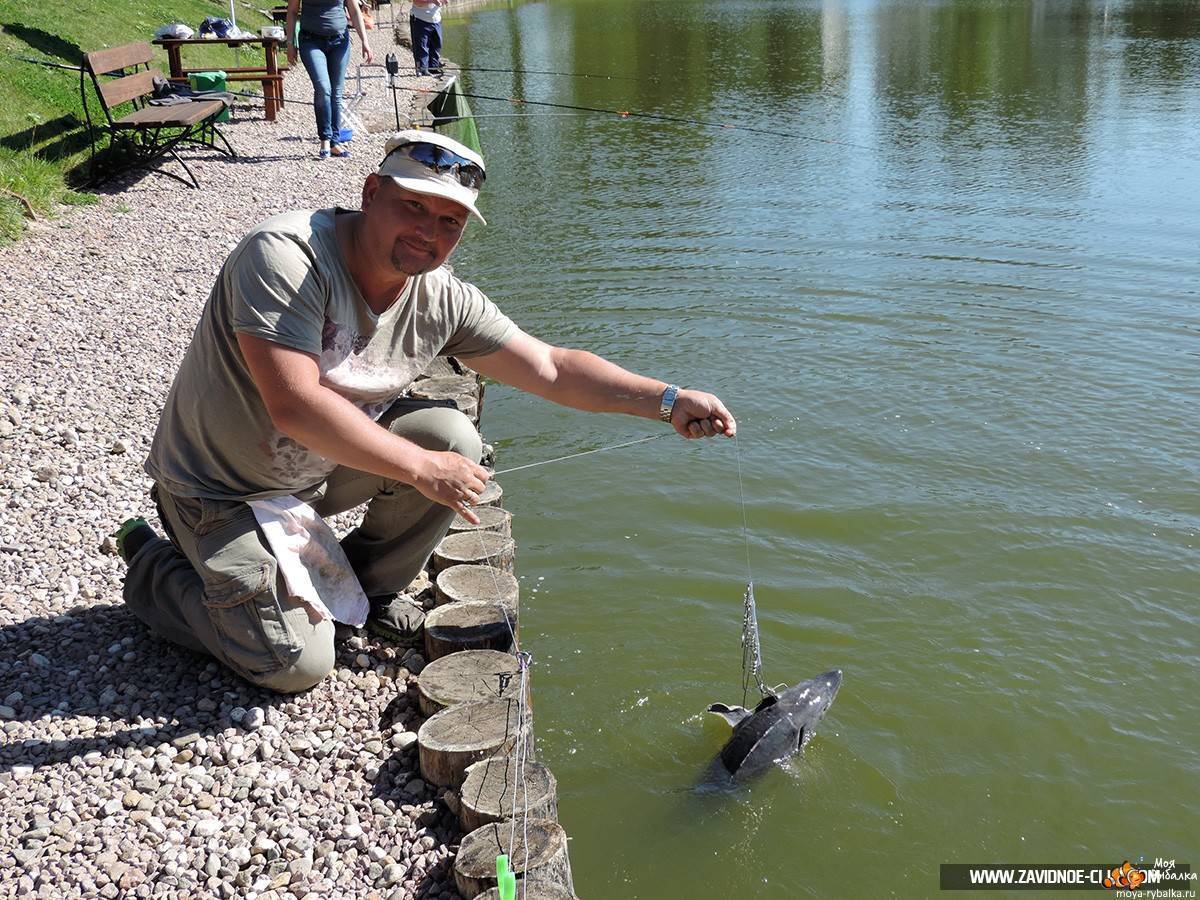 Firstfisher.ru – интернет-журнал о рыбалке и рыболовах.  рыбалка в белгородской области