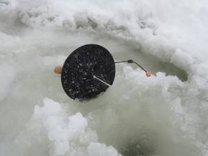 Удочка для ловли форели зимой: оснастка, разновидности, монтажи - рыба