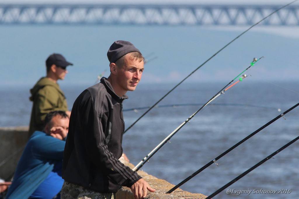 Рыбалка в ульяновской области: платная и бесплатная