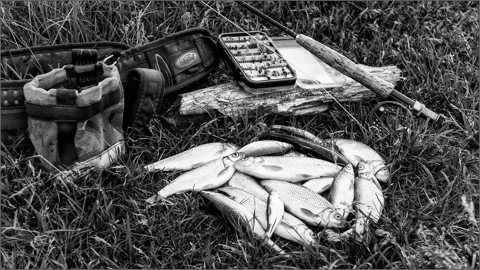 Рыбалка в нижегородской области. отчеты рыбаков на форуме