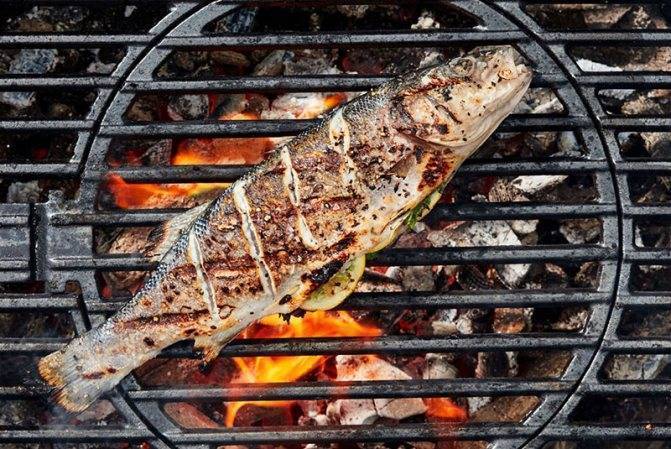 Как замариновать рыбу для жарки на мангале или решетке, маринование для шашлыка
