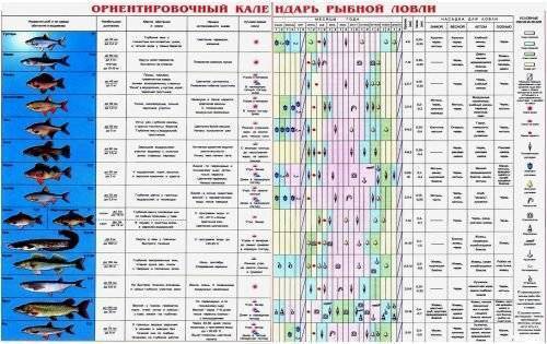 Зимняя, весенняя, летняя и осенняя рыбалка в подмосковье. карта платных и бесплатных водоемов в москве и области