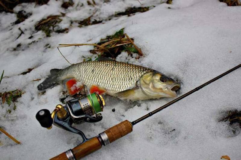 Рыбалка в кирове и кировской области зимой и в другие сезоны года