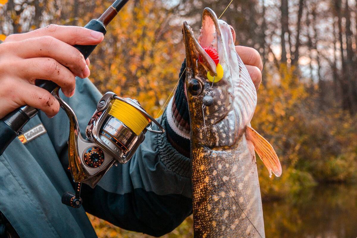 Все, что нужно знать о рыбалке осенью