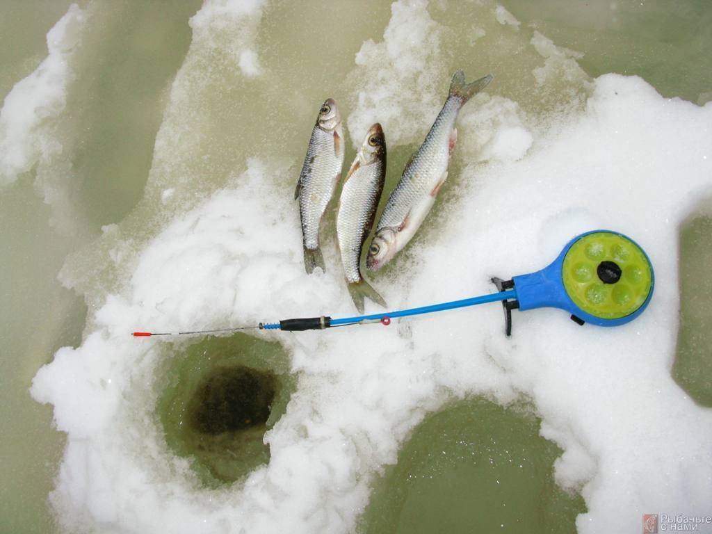 Зимняя рыбалка: подготовка снасти, необходимые принадлежности, снаряжение и экипировка