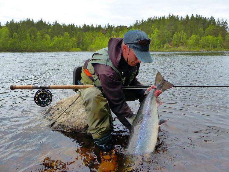 Платная рыбалка и рыболовные туры ленинградской области