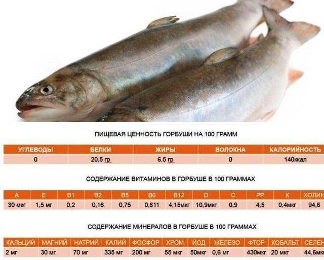 Какую рыбу можно есть на диете — список диетических нежирных сортов и рецепты блюд для похудения