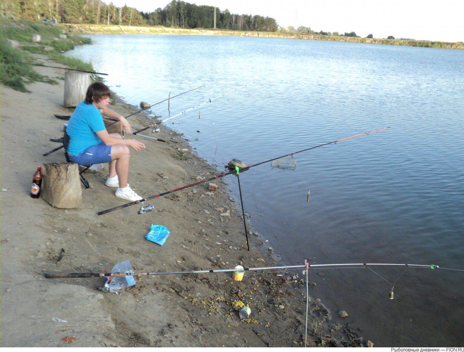 Обзор платной и бесплатной рыбалки в поселке бисерево — в московской области