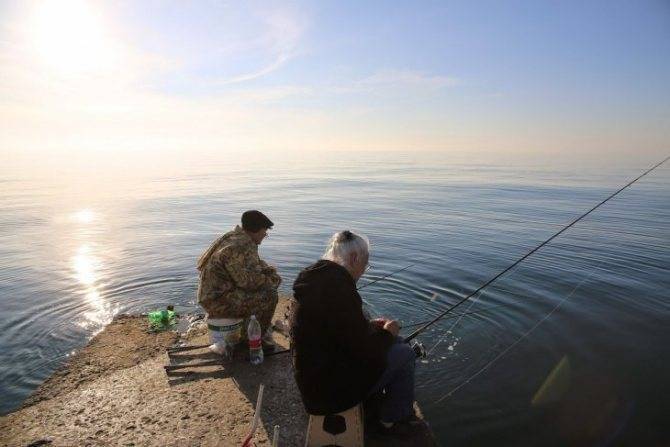 Снасть на кефаль: как собрать и как ловить на черном море