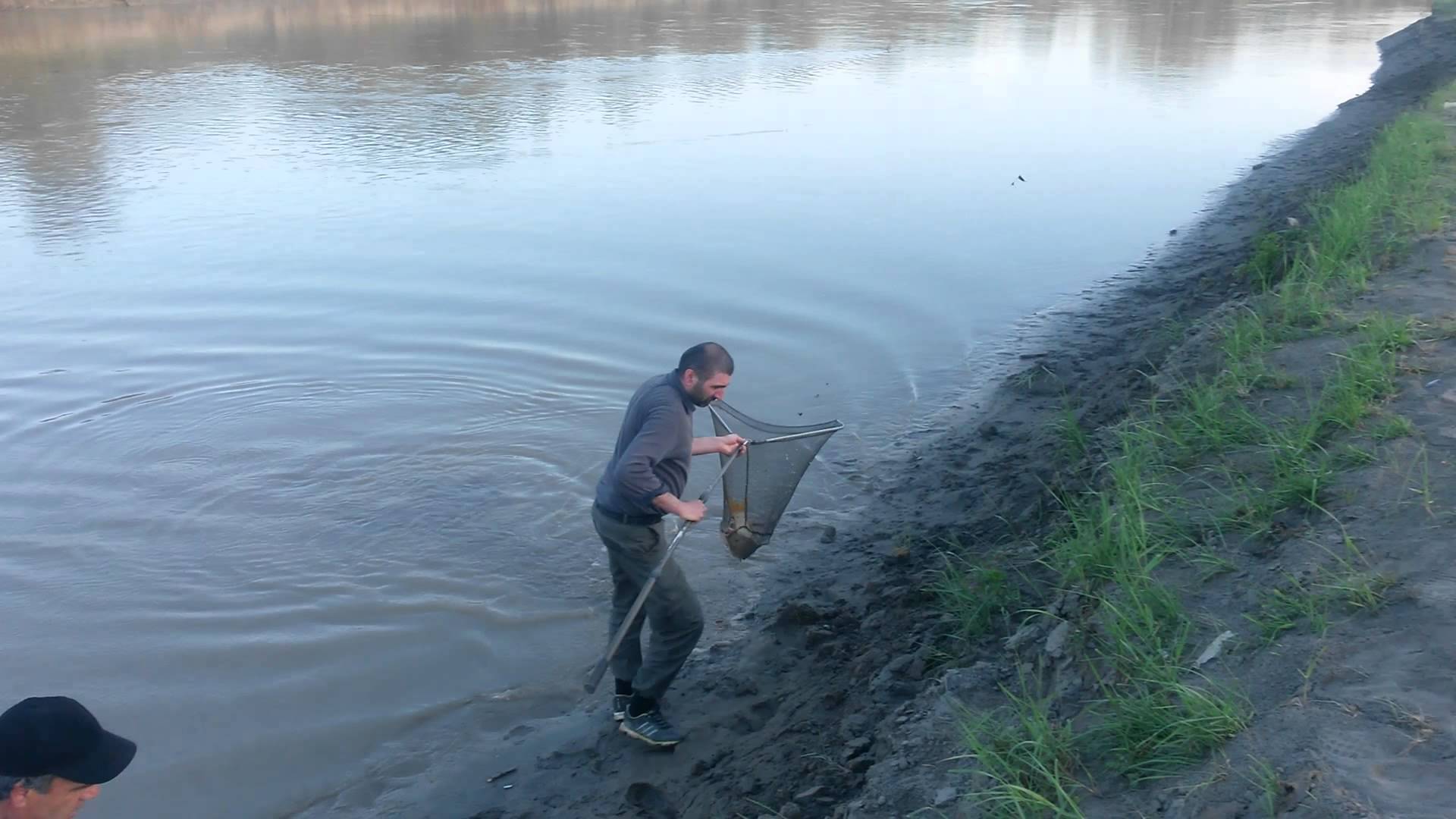 Рыбалка в кавказских минеральных водах. рыбалка в ставропольском крае — куда поехать, обзор платных и бесплатных водоемов