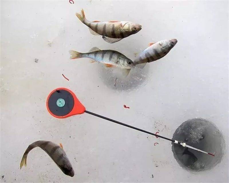 Ловля окуня на балансир. зимняя рыбалка на окуня