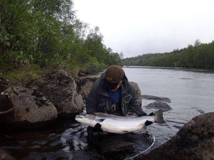 Места для рыбалки в свердловской области – платная и бесплатная рыбалка!