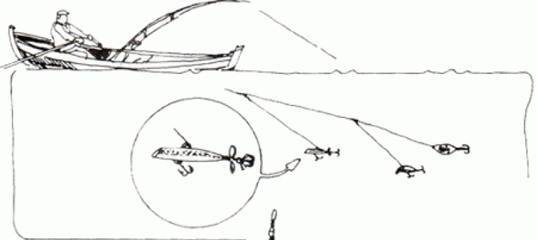 Ловля судака на живца с берега и лодки: способы и техника