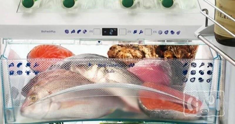 Как сохранить рыбу в жару без холодильника: лучшие способы