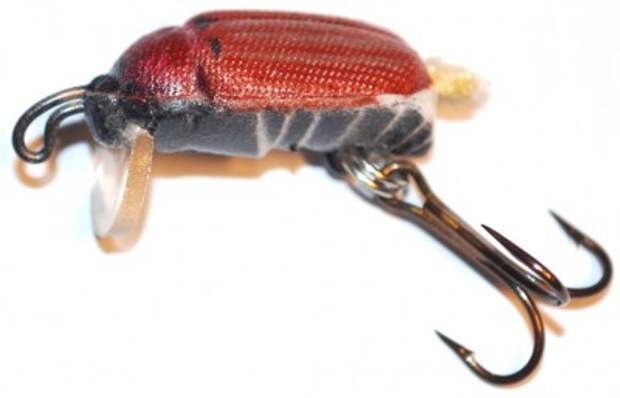 Рыбацкие секреты ловли голавля на майского жука