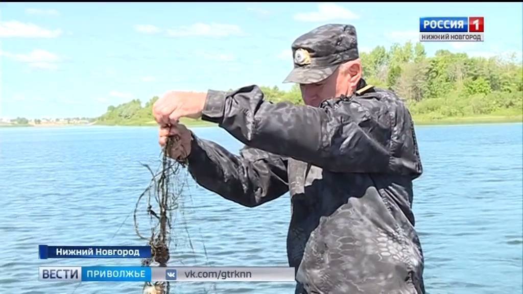 Рыбалка в нижнем новгороде и нижегородской области