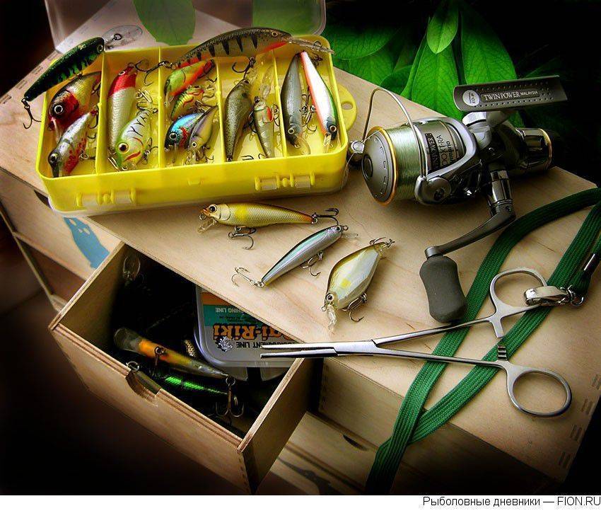 Как хранить мотыля на рыбалке и в домашних условиях