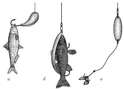 Ловля налима: на что клюет рыба, подходящие снасти для рыбалки зимой и осенью