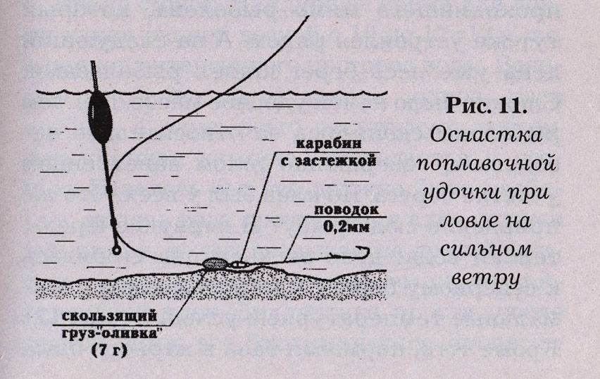 Рыбалка на канале имени москвы: места ловли, какая рыба клюет и когда ловить?