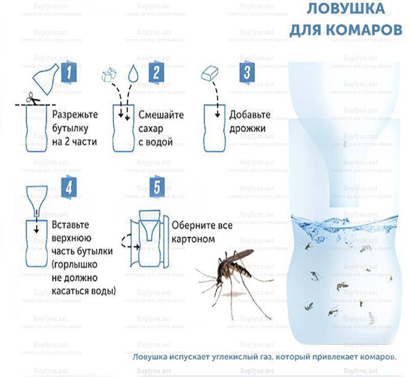 Проверенные народные средства от комаров — как защититься от укусов