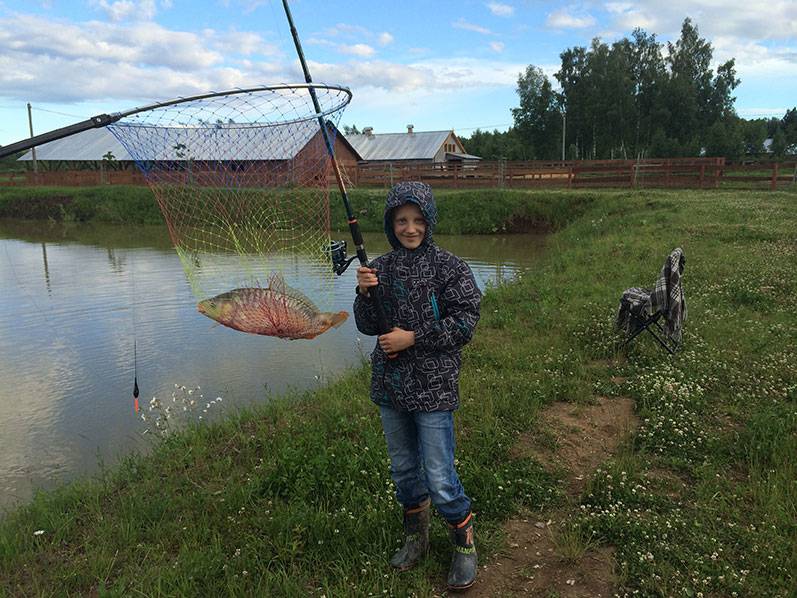Рыбалка в вологодской области: озера и реки