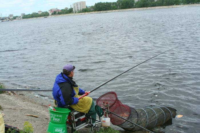 5 мест для платной рыбалки в самаре — на природе — выбирай.ру — самара