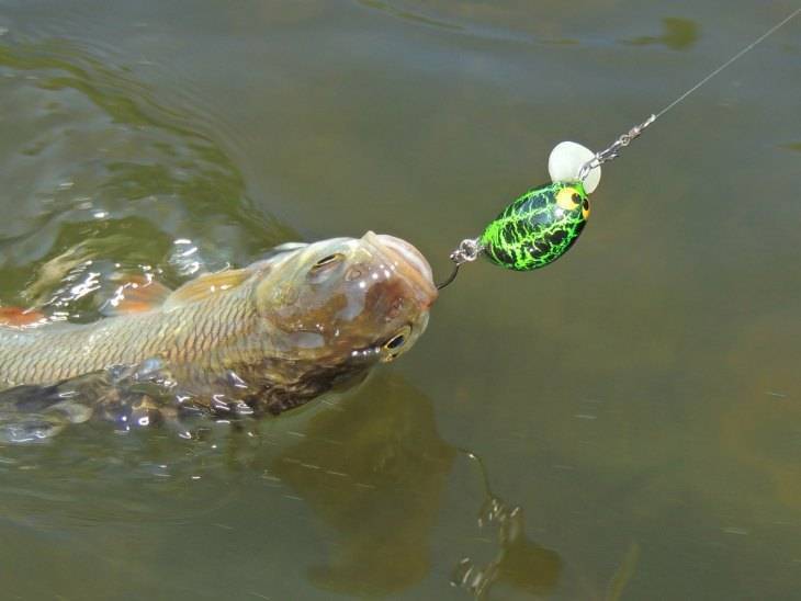 Рыбалка в мутной воде весной