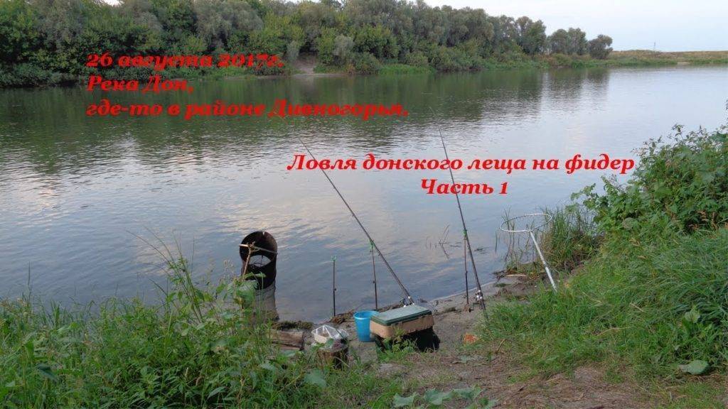 Ловля леща на фидер - na-rybalke.ru