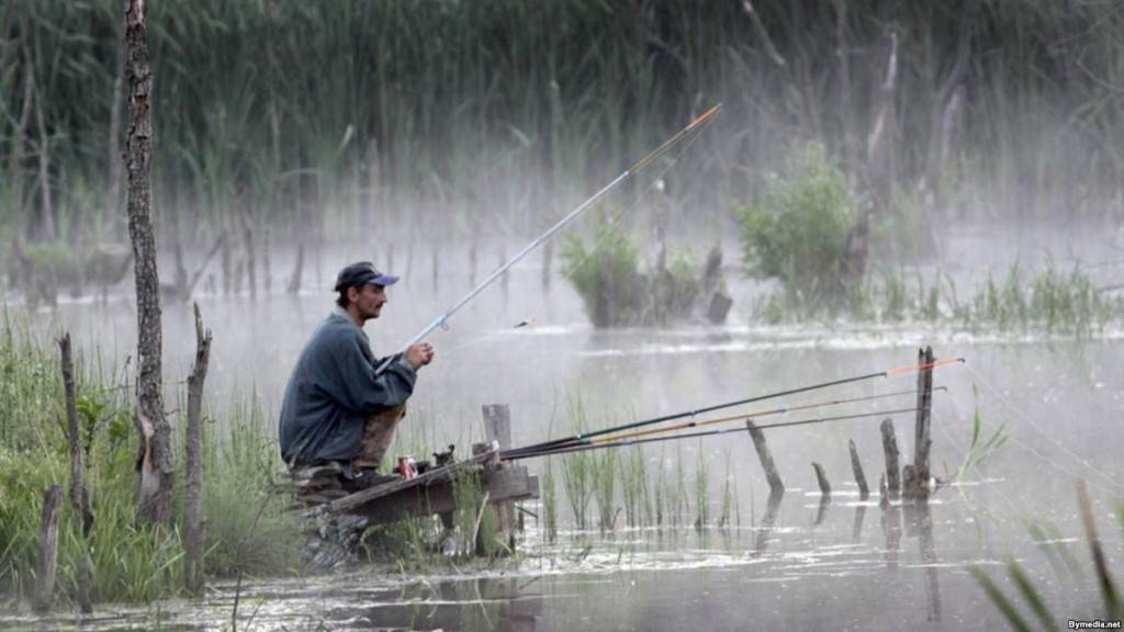 Погода для рыбалки: клюет ли рыба в дождь и при ветре