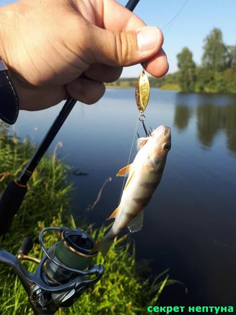 Рыбалка в сентябре, ее особенности