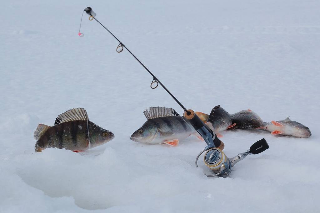 Самоделки для зимней рыбалки своими руками