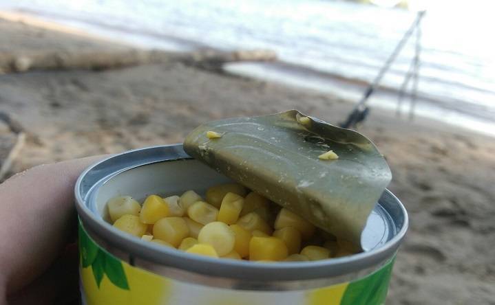Кукуруза для рыбалки: приготовление, как варить для ловли, какая рыба клюет на консервированную