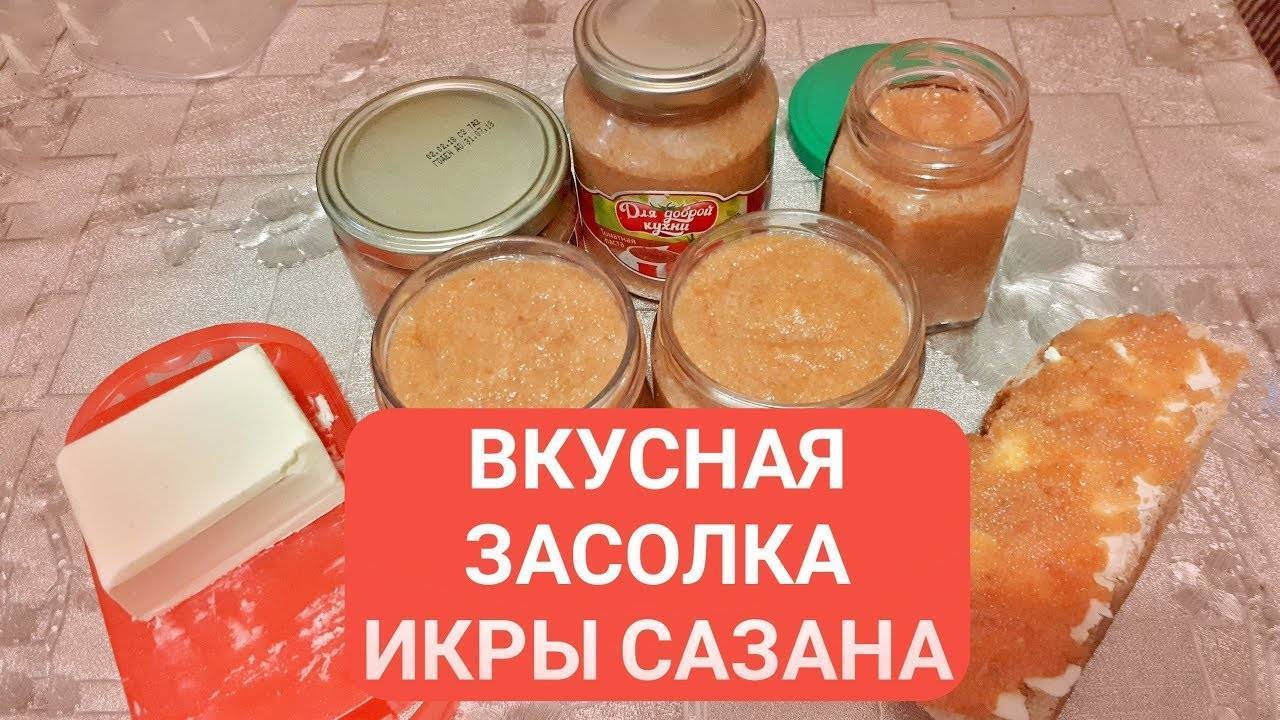 Как солить икру (сазана, щуки, толстолобика, красная): рецепт соления в домашних условиях