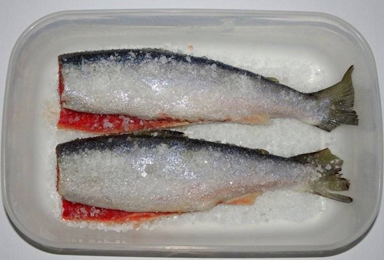 Как посолить речную рыбу в домашних условиях