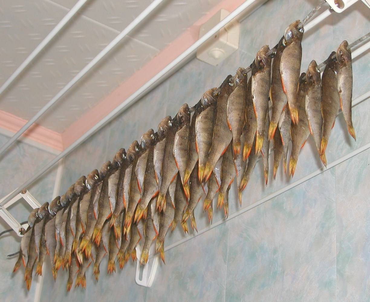 Вяленая рыба: как сушить в домашних условиях