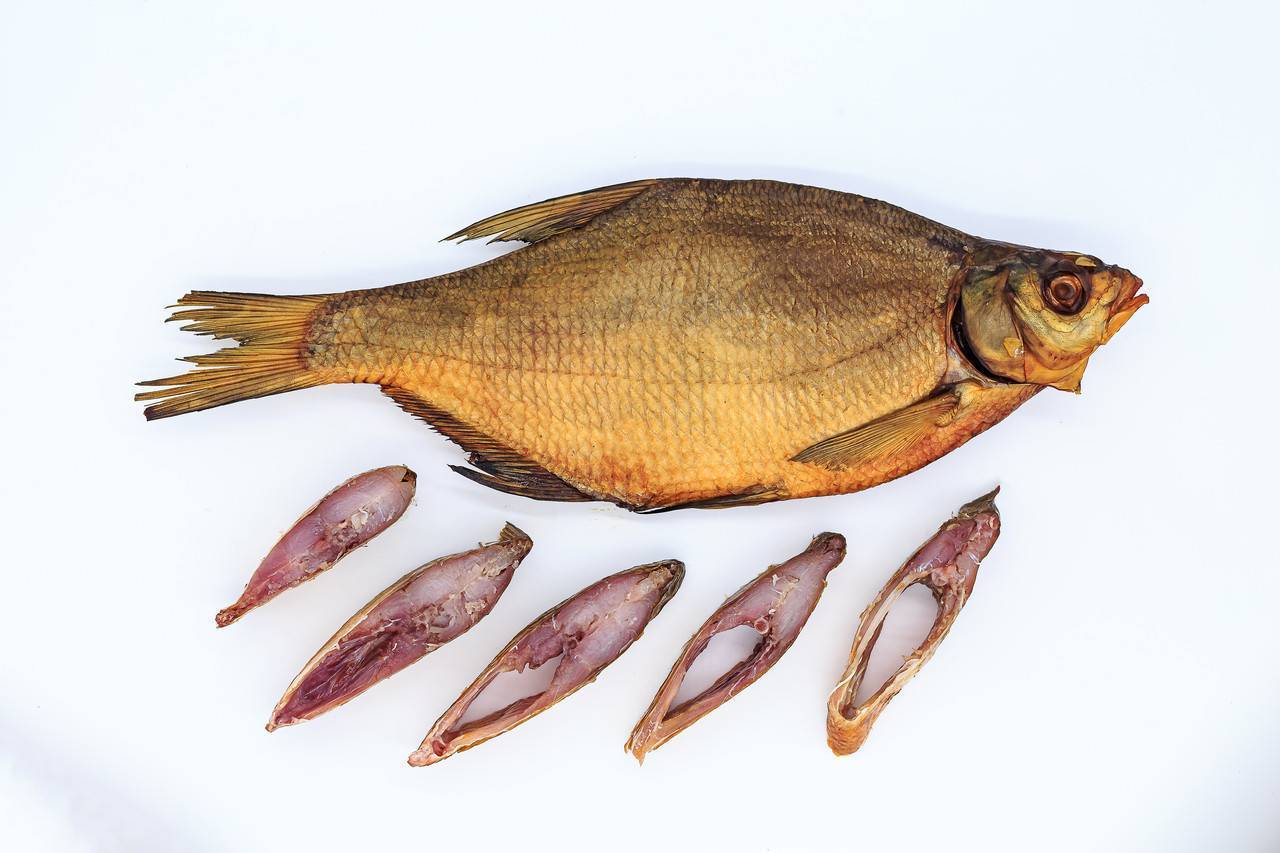 Семейство лососевых рыб с описанием и фото